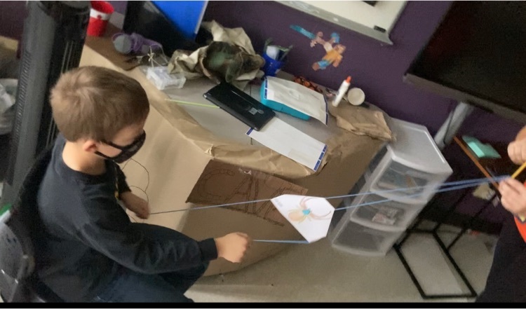 Noah’s spider