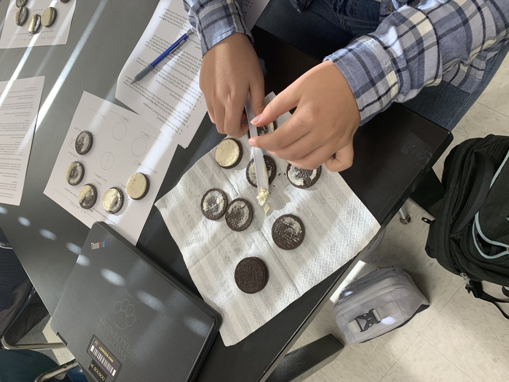 We used Oreos to learn the moon phases. Everyone had their own set of Oreos and supplies, so it was COVID safe!