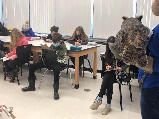 Students observing and sketching the owl