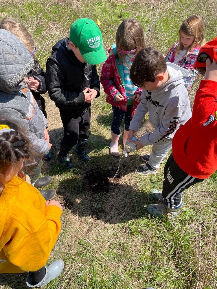 tree planting