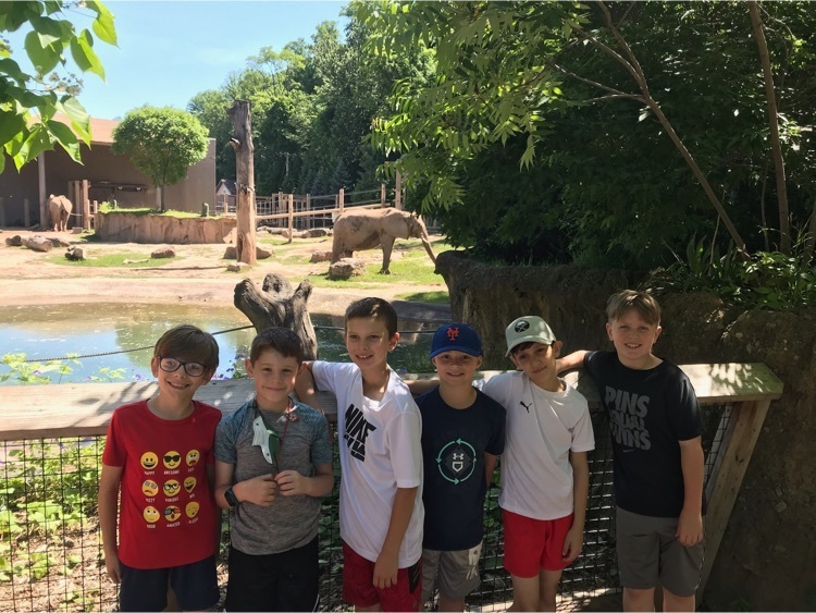 elephant enclosure