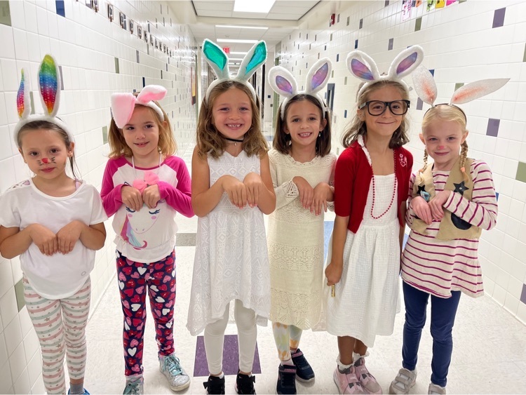 our second grade rabbits