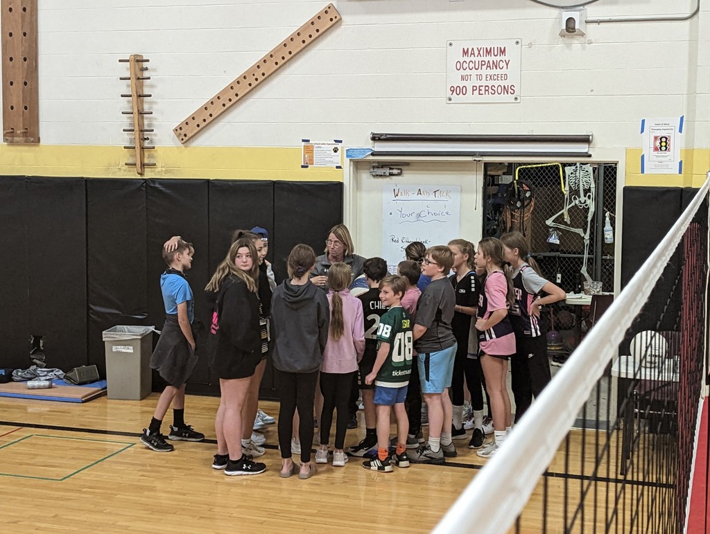 Volleyball