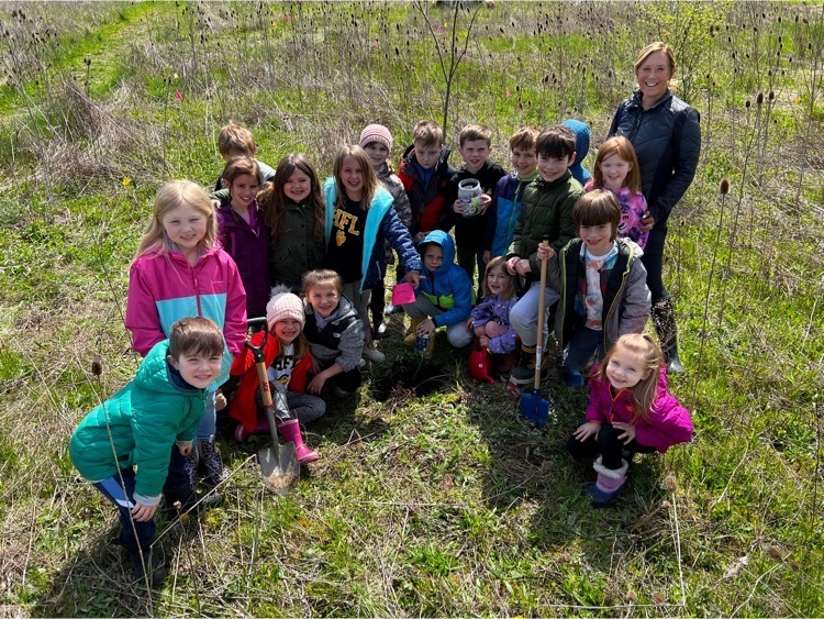 tree planting
